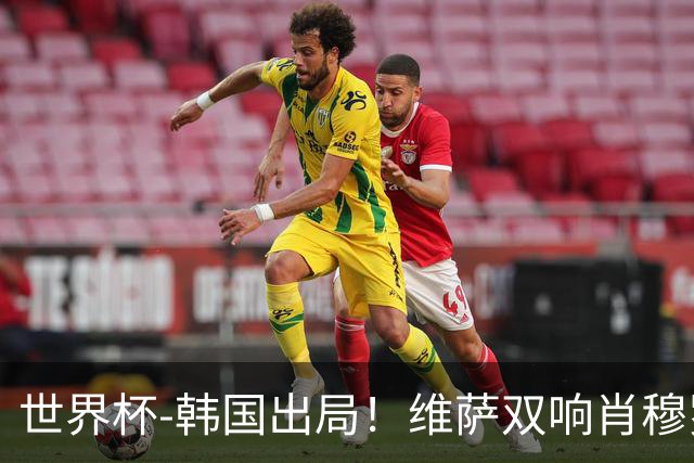 世界杯-韩国出局！维萨双响肖穆罗多夫神仙球 民主刚果3-1乌兹