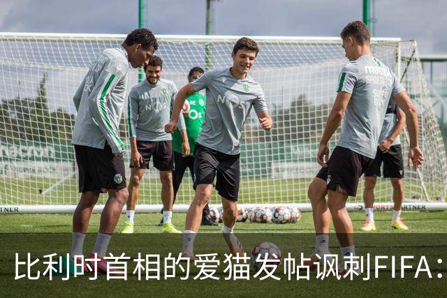 比利时首相的爱猫发帖讽刺FIFA：“红牌？”我照样继续踢！